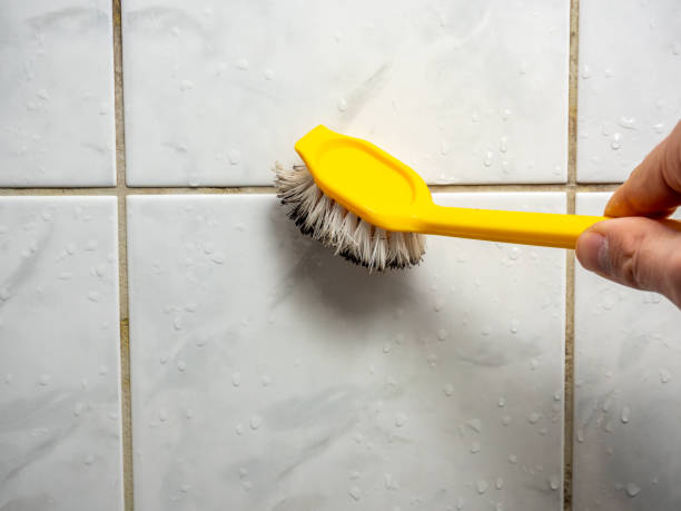 Best Certified Mold Removal  in Five Points, FL